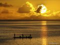 1920-x-1080-Sunset-Blue-Oyster-02