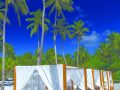THE LIQUID CABANAS PORTRAIT